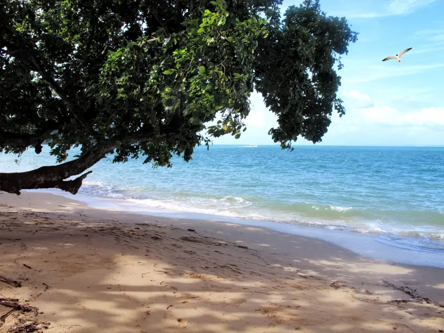 "BÖLGE EKOSİSTEMİ MAHVOLACAK" 2 "BÖLGE EKOSİSTEMİ MAHVOLACAK" 2