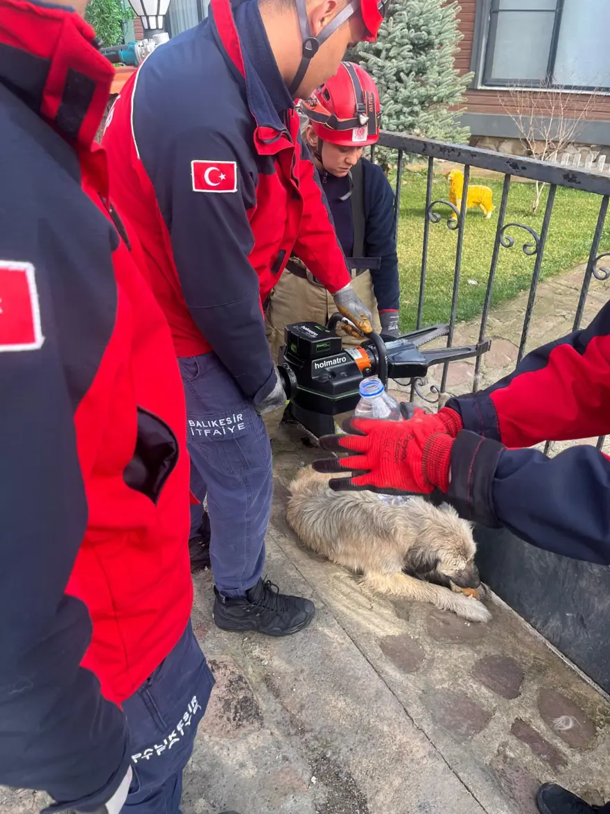 Balıkesir'de bahçe kapısına sıkışan köpek kurtarıldı 2