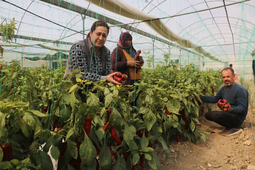 Fiyatı 50 liraydı şimdi 80 TL'den satılıyor: "Yüzde 50 oranında fiyat farkı var" 5