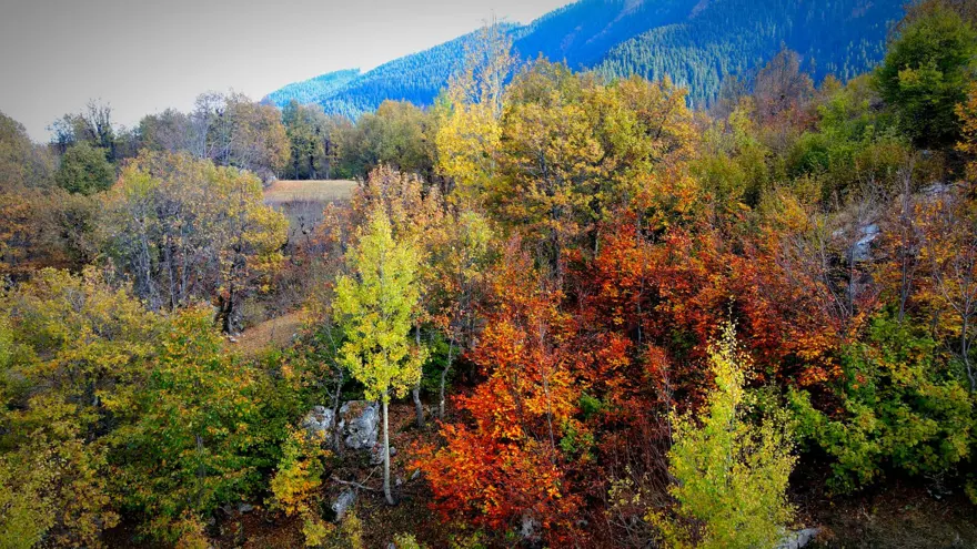 "Sakin şehir" olarak biliniyor: Adeta renk cümbüşüne döndü 4 "Sakin şehir" olarak biliniyor: Adeta renk cümbüşüne döndü 4