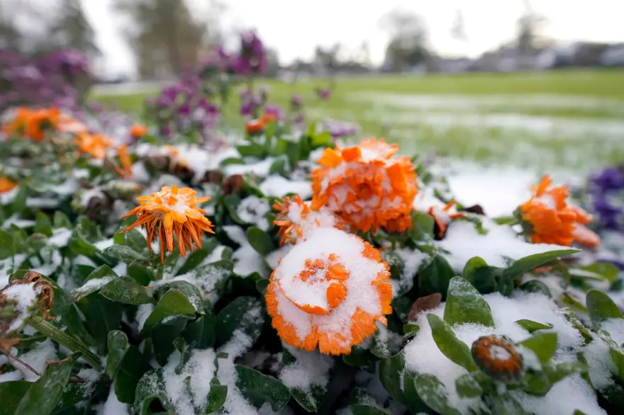 ABD'de sert kış can aldı: 11 ölü 12