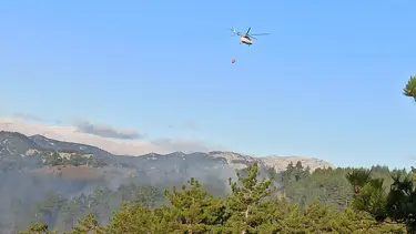 Adana'da orman yangını