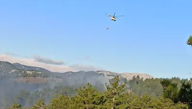 Adana'da orman yangını