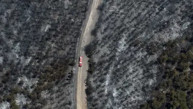 İzmir yangınında yanan alanlar görüntülendi