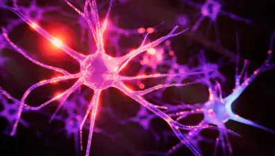 Beynin hafızası tamamen dolabilir mi?