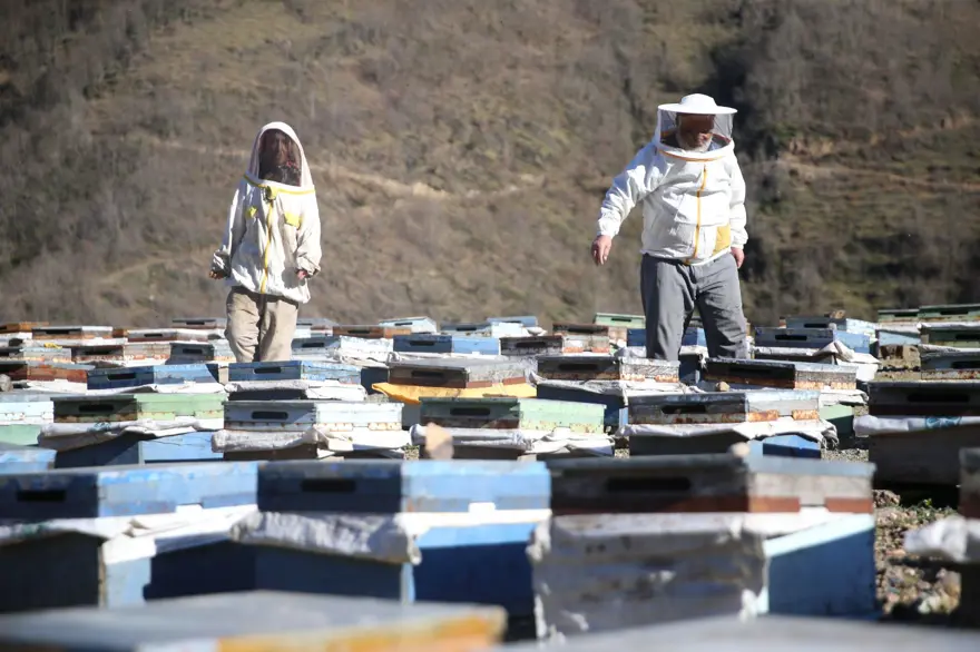 80 yaşında 50 yıl önce başladığı mesleği sürdürüyor: Sayısını 450'ye çıkardı 2
