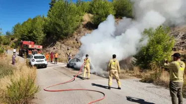 Yanan araca orman ekipleri müdahale etti