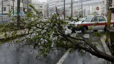 Japonya'yı kasırga vurdu: 2 ölü, 181 yaralı