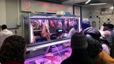 Belçika'daki Müslümanlardan AİHM'nin helal kesim yasağına tepki