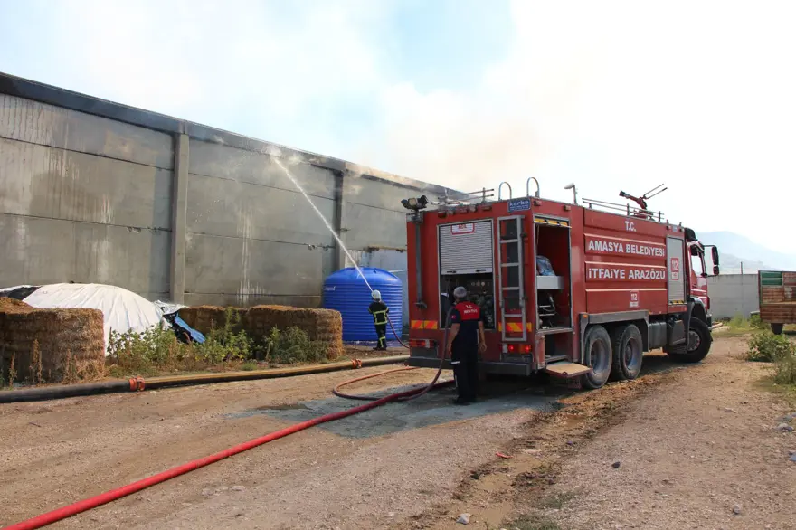 Amasya'da çiftlikte korkutan yangın 1