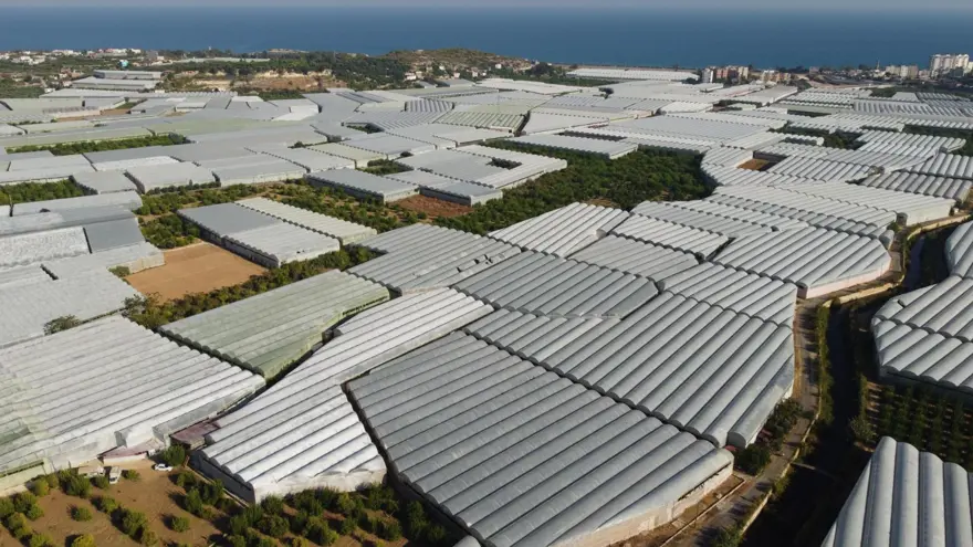 Muz üreticide 3 lira markette 12 lira 12