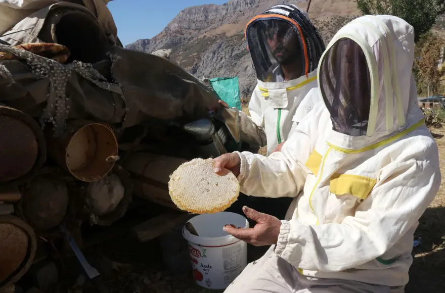 51 yaşında Ata toprağında 2,5 ton üretiyor: Ailesiyle yalnız yaşadığı köyde yapıyor 5