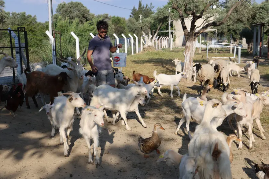 ''ANNEM KARŞI ÇIKTI'' 3