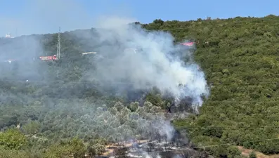 Kocaeli'de ağaçlık alanda yangın