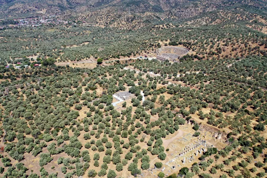 Aydın'daki Nysa Antik Kenti'nde yaklaşık bin yıllık 47 mezar bulundu 9