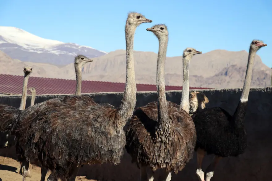 "ÇOK TEPKİ ALDIM AMA KİMSEYİ DİNLEMEDİM" 3 "ÇOK TEPKİ ALDIM AMA KİMSEYİ DİNLEMEDİM" 3