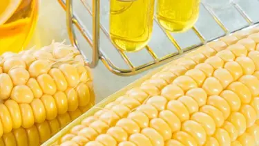 Sağlık Bakanlığı Bilim Kurulu: Nişasta bazlı şeker kansere zemin hazırlıyor