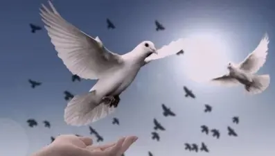 Kısa, anlamlı, yeni cuma mesajı seçenekleri! 2025 cuma mesajı sözleri