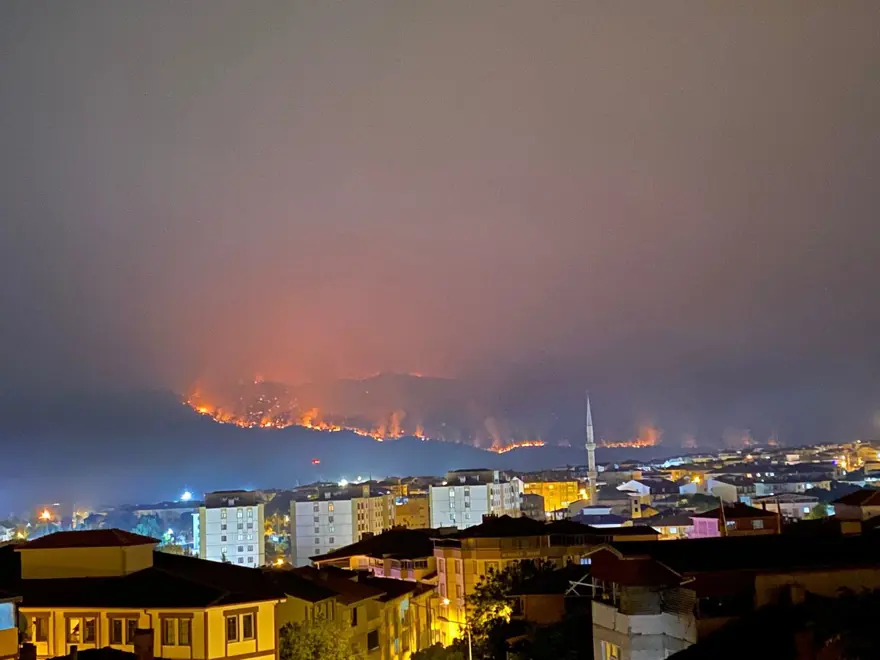 Sakarya'daki orman yangını Bilecik'e sıçradı 6 Sakarya'daki orman yangını Bilecik'e sıçradı 6
