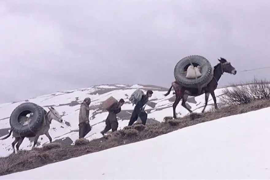 Ölmeden önce izlemeniz gereken 50 kült film 31 Ölmeden önce izlemeniz gereken 50 kült film 31