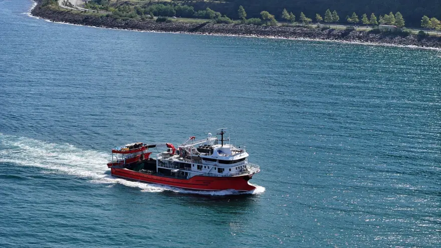 Karadenizli balıkçıların tezgahlarını süsledi: Kilosu 100 liradan başlıyor 2