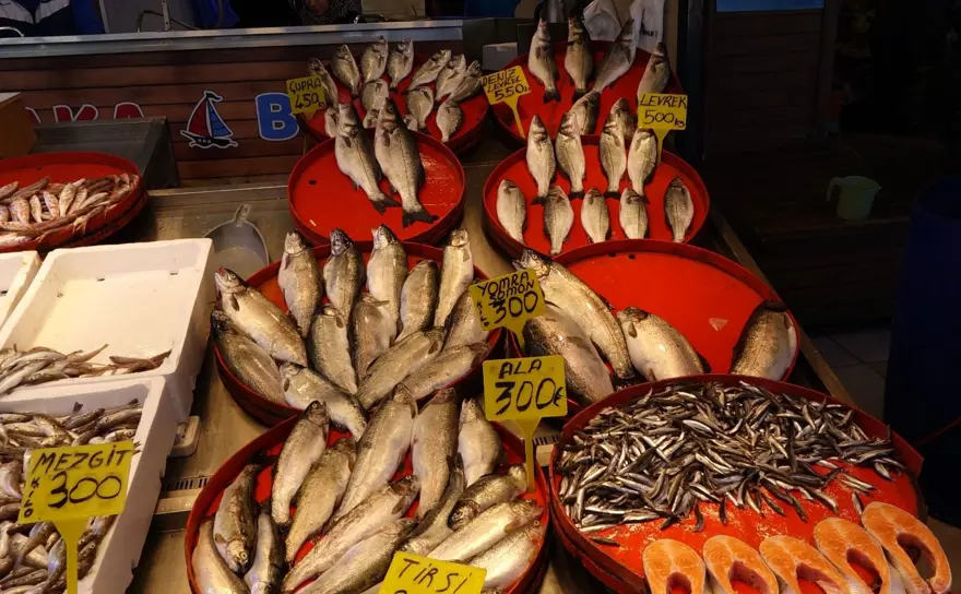 "ATOM PATLASA DA BALIK DÖNGÜSÜ AYNI SEYREDER" 4