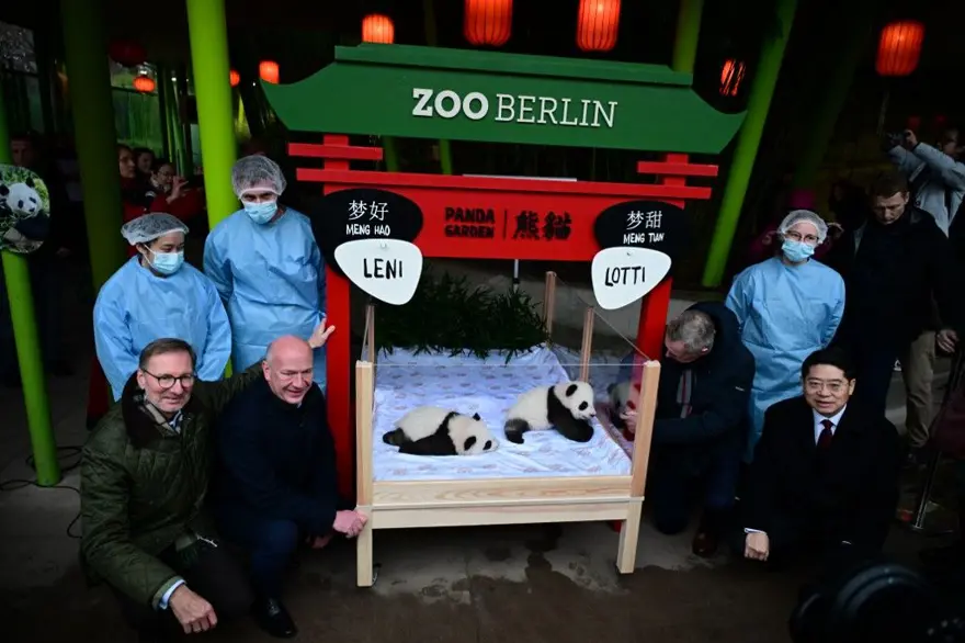 Almanya ile Çin'i birleştirdiler: İkiz yavru pandaların isimleri açıklandı 1