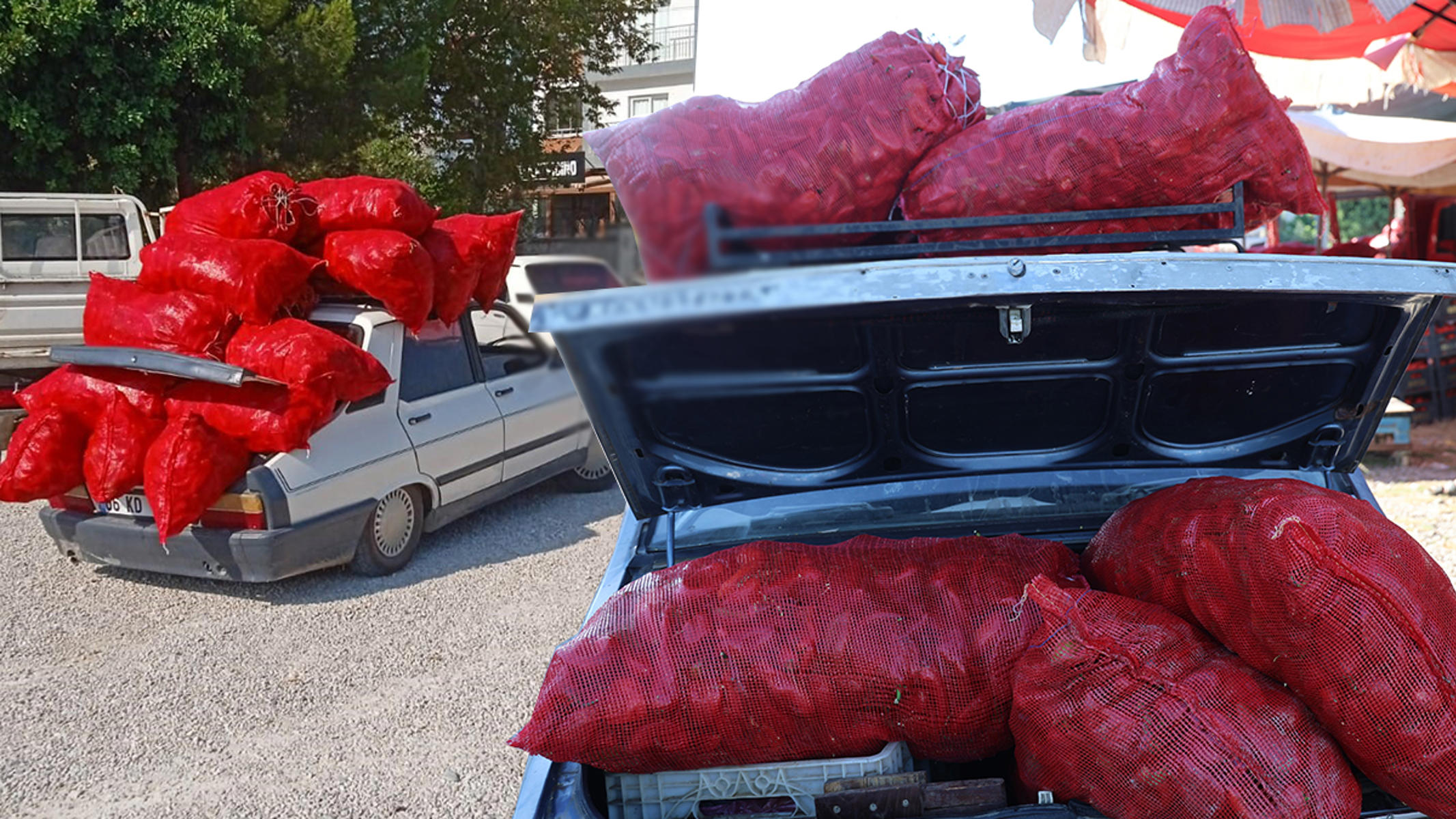 Kozan'da salça sezonu açıldı. 40 yıllık araçlarda biber nakliyesi