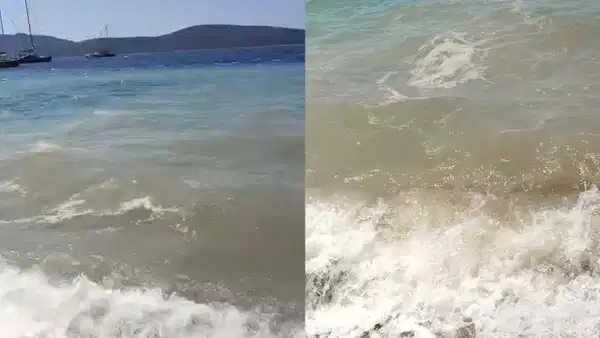 Bodrum'da deniz kirliliği: Soruşturma başlatıldı