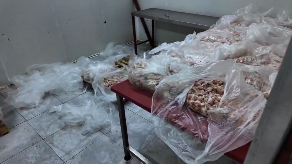 Antalya'da yaklaşık 25 ton bozuk tavuk ürünü ele geçirildi