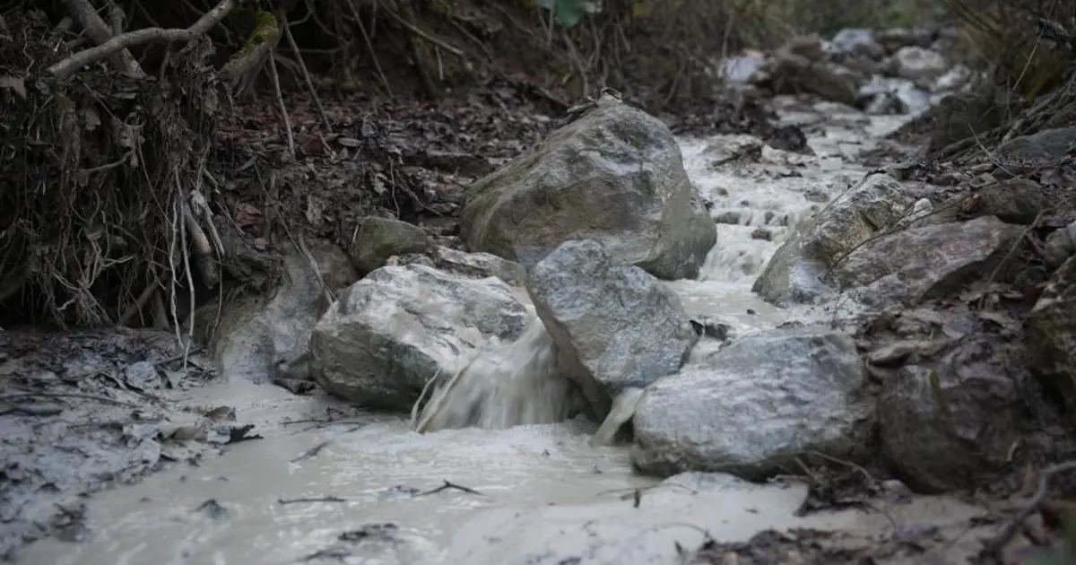 Bursa'da çevre felaketi. Maden atık barajı çöktü, kimyasal maddeler su ve toprağa karıştı