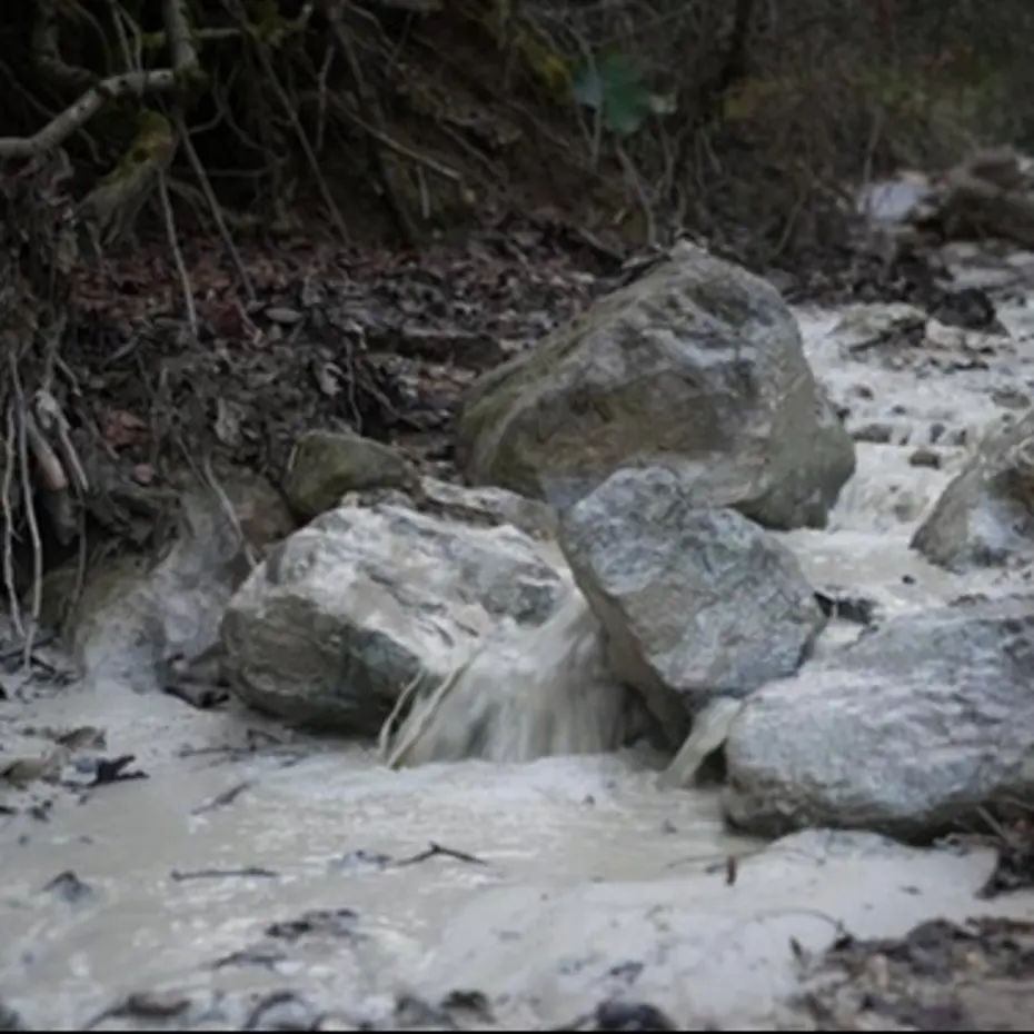 Bursa'da çevre felaketi