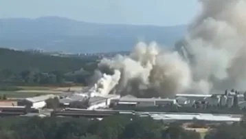 Bursa'da tavuk çiftliğinde yangın