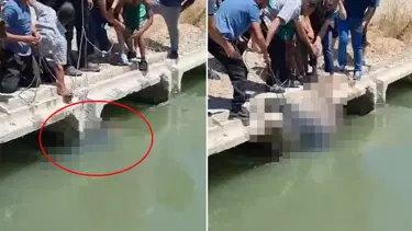 Bursa'da sulama kanalında erkek cesedi bulundu