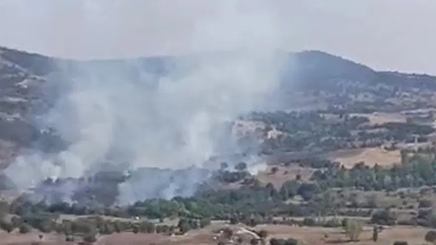 Bursa'da orman yangını 2 Bursa'da orman yangını 2