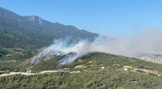 Bursa'da üç noktada orman yangını