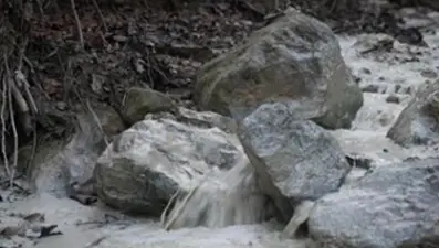 Bursa'da çevre felaketi