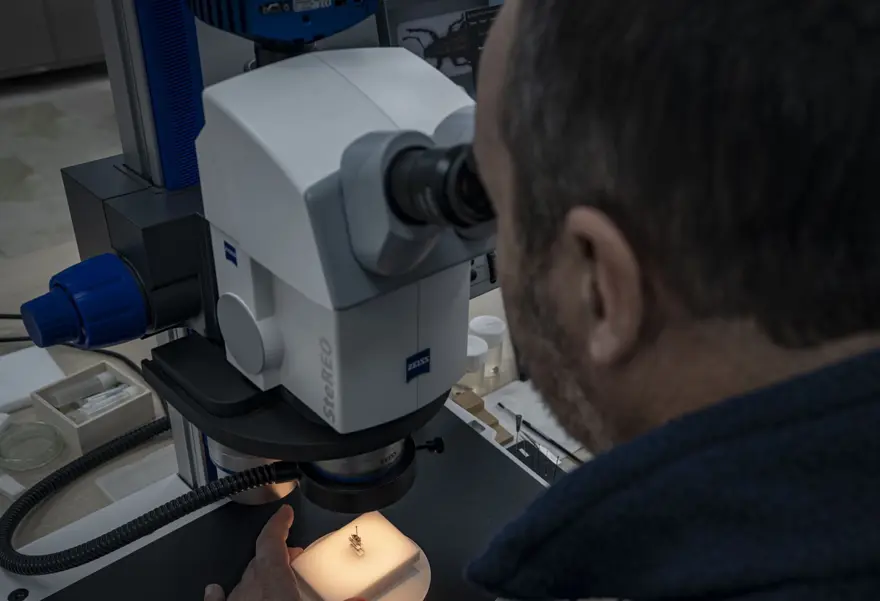 Doğu Anadolu'da keşfedildi. Dünya literatürüne girdi 3 Doğu Anadolu'da keşfedildi. Dünya literatürüne girdi 3