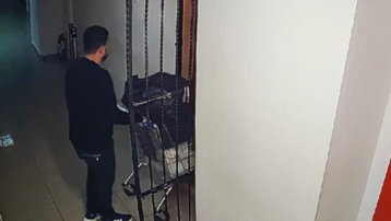 Erdal Timurtaş ve eşi hakkında kırmızı bülten çıkarıldı