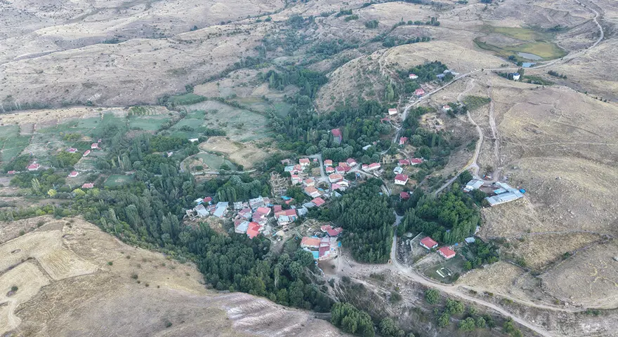 NE OLMUŞTU? 3 NE OLMUŞTU? 3
