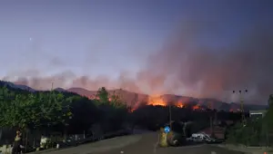 Hatay Dörtyol'da orman yangını kısmen kontrol altında