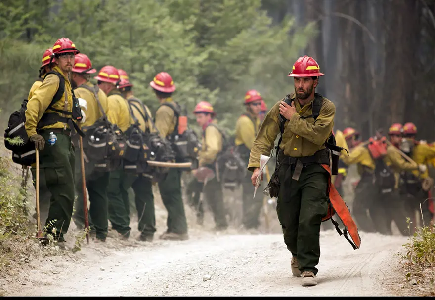ABD'nin batısında ormanlar yanıyor 1