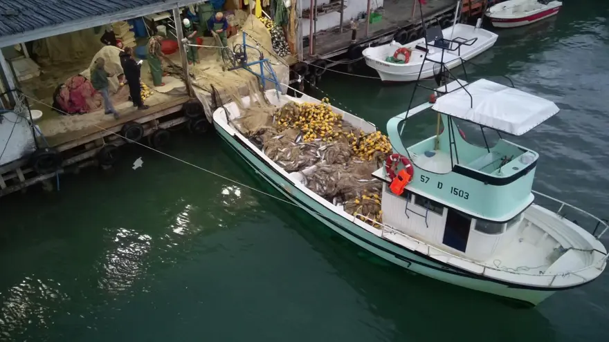 Bolluk yaşandı: Bir gecede 3 bin 200 adet avladılar 1