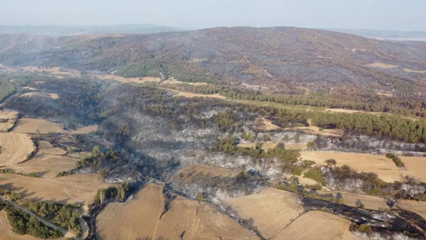 Çanakkale orman yangını kontrol altında: Yanan alanlar griye döndü 