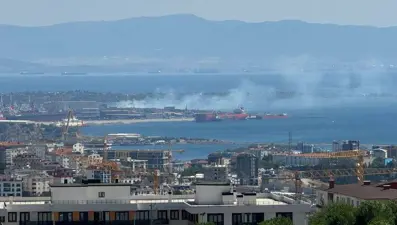 Tuzla'da ağaçlık alanda yangın