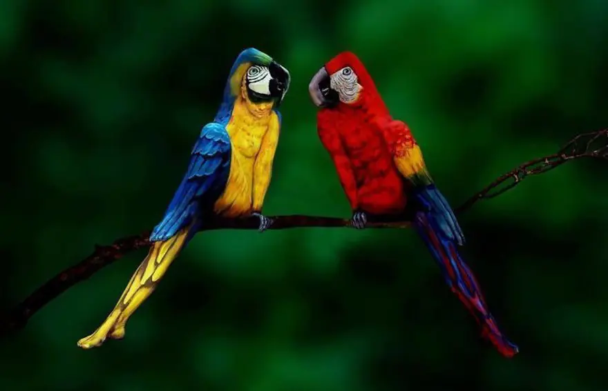 Johannes Stötterr’in diğer beden boyama ile illüzyon çalışmaları 13