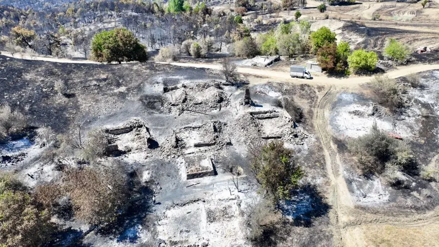Alevlertüm köyü sardı, köylüler asırlık ağacı korumak için seferber oldu 2