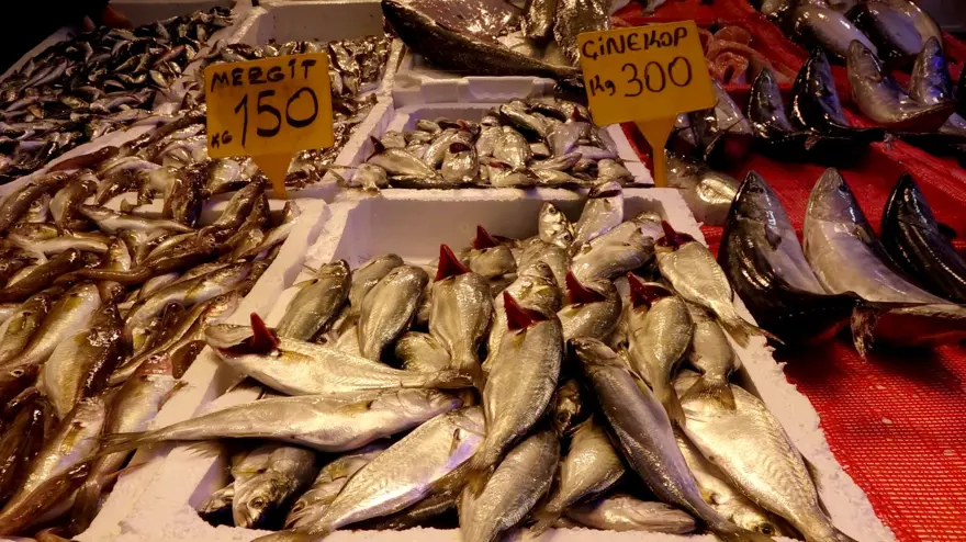 Karadeniz’de hamsibolluğu: Tezgahlar doldu 2