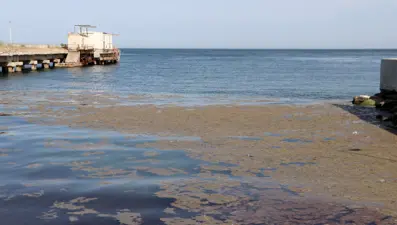 Tekirdağ'da tedirgin eden görüntü: Denizin rengi değişti, ağır koku yayıldı