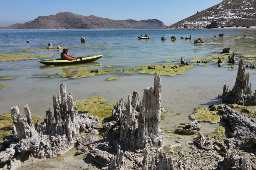 Bilim insanlarının çalışmalarına konu oluyor: Van Gölü'nün çekilmesiyle ortaya çıktı 